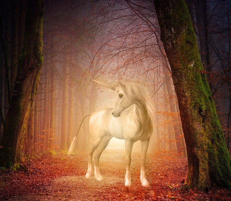 Unicorn Magic